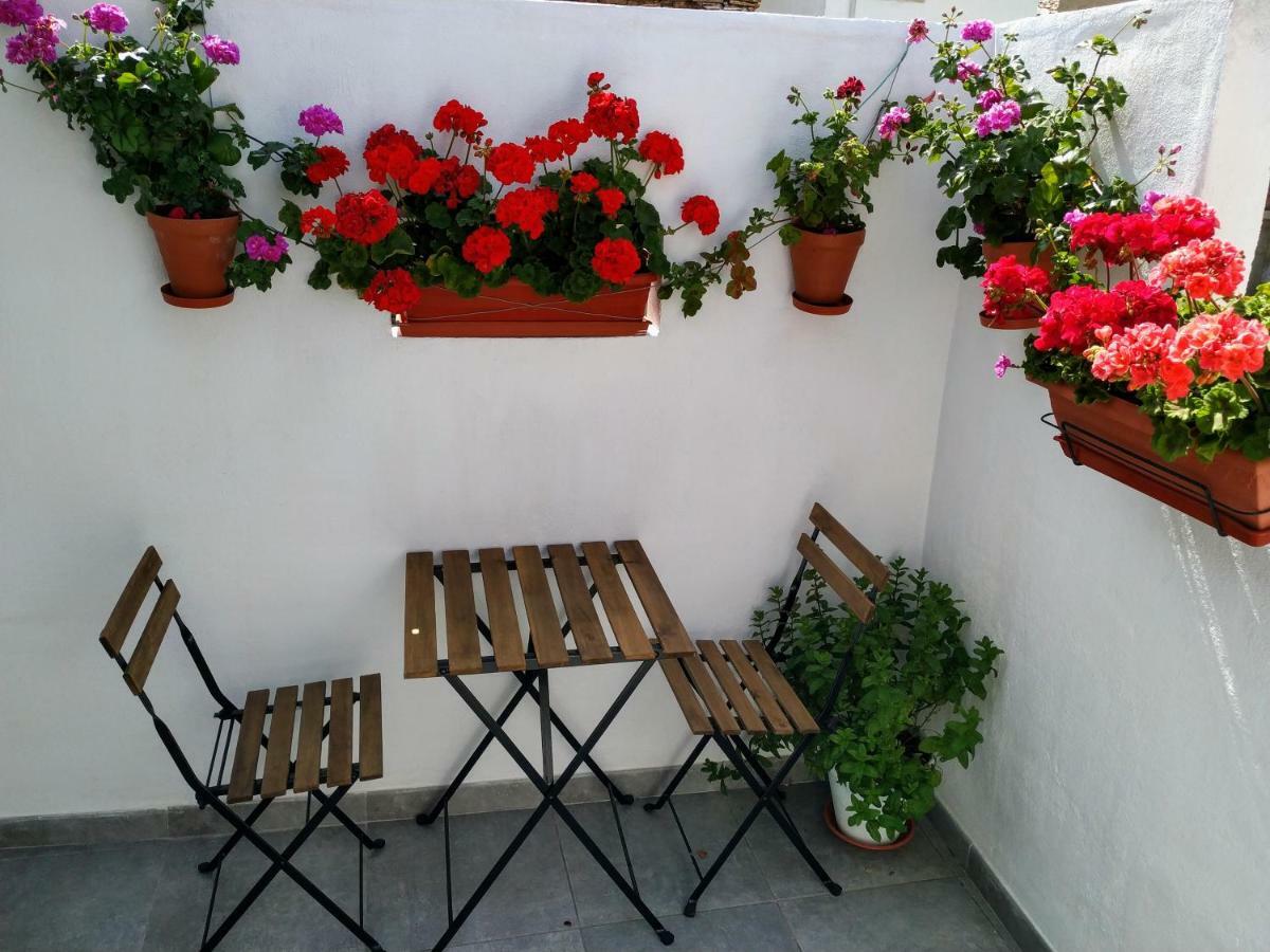 Apartamento Entero "El Casco Antiguo" Vt-46811-V Xativa Exterior photo
